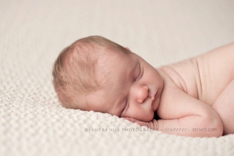 Brantford Newborn Photographer