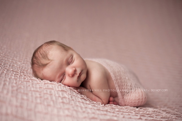 Professional Newborn Photographer