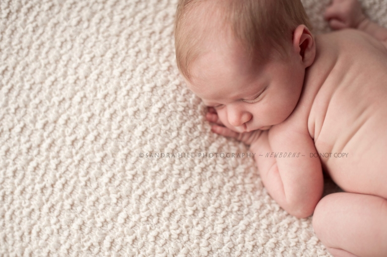 Brantford Newborn Photographer