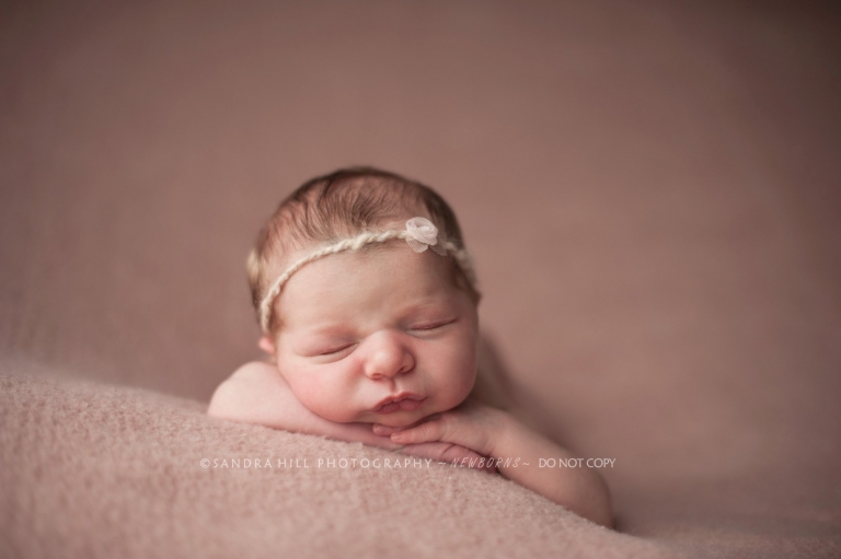 Brantford Newborn Photographer