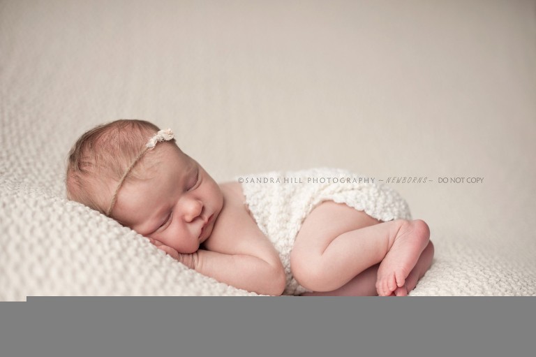 Brantford Newborn Photography