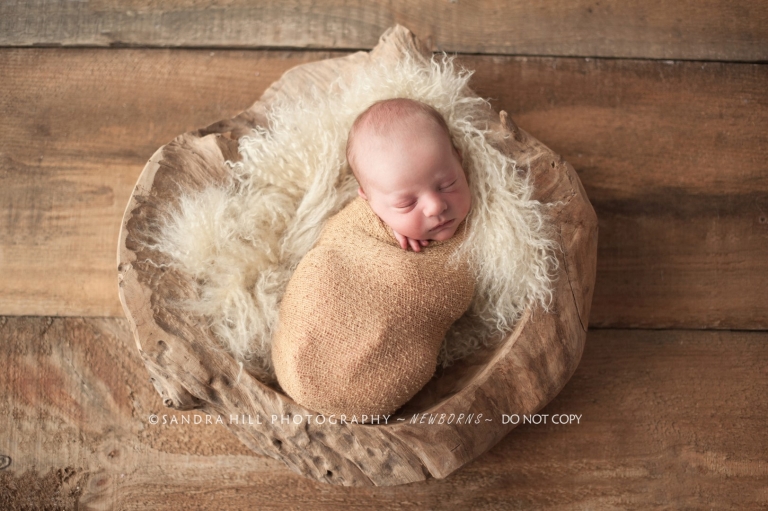 St. George Newborn Photographer