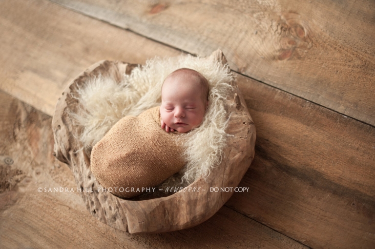 St. George Newborn Photographer