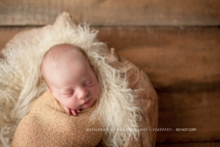 Newborn Photographer Ontario