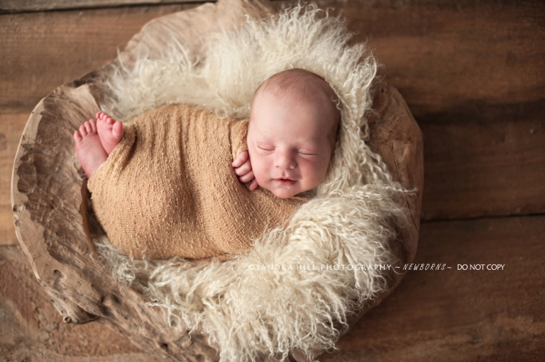 Newborn Photographer Ontario