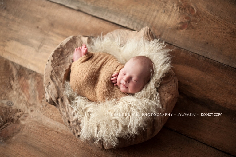 Newborn Photographer Ontario