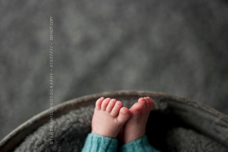 ontario newborn photography