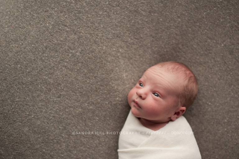Newborn Photographer Ontario