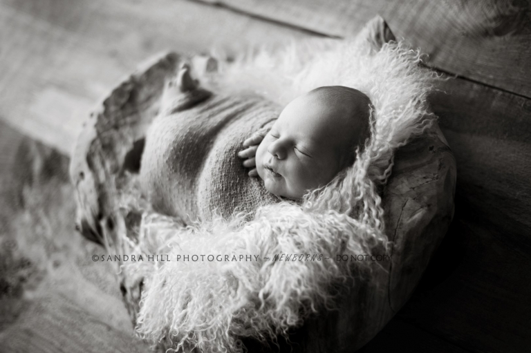 custom baby photography st george ontario