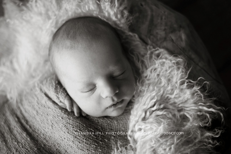 custom baby photography st george ontario