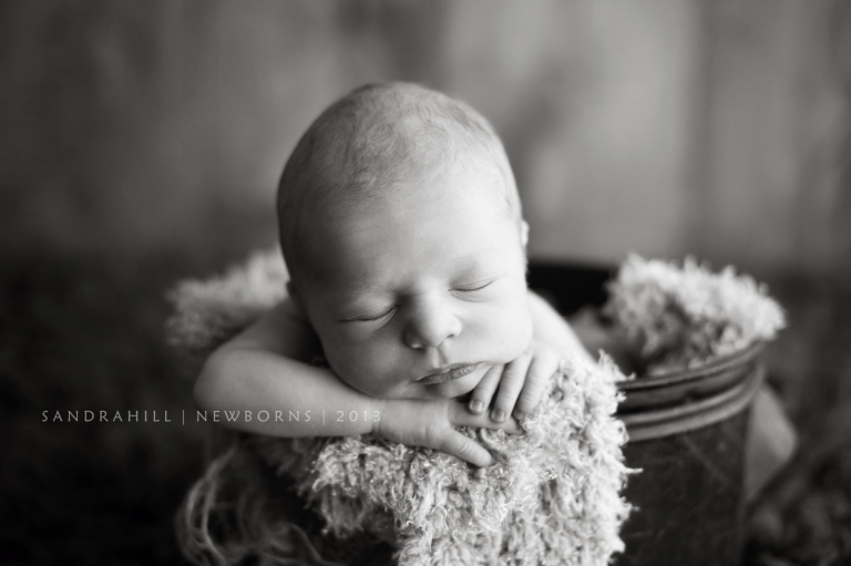 Brantford Newborn Photographer