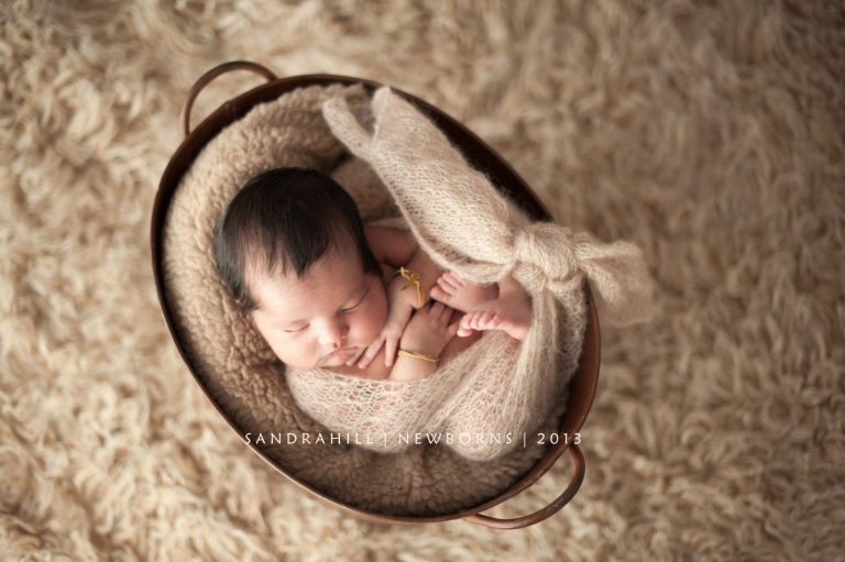 Professional Newborn Photographer
