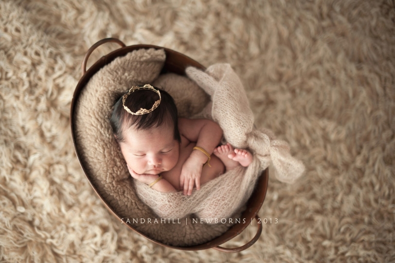 Newborn Photography