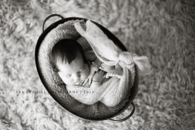 Brantford Newborn Photographer