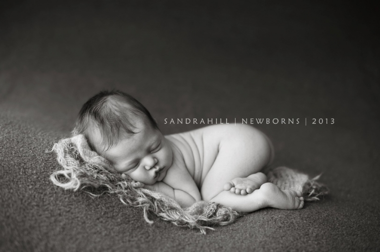 Brantford Ontario Newborn Photographer