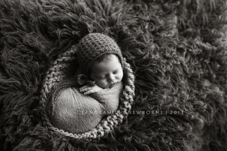 Brantford Ontario Newborn Photographer
