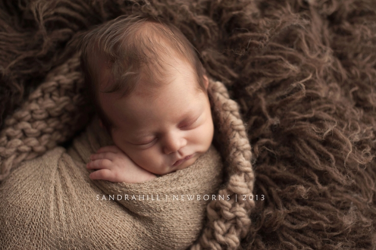 Brantford Ontario Newborn Photographer