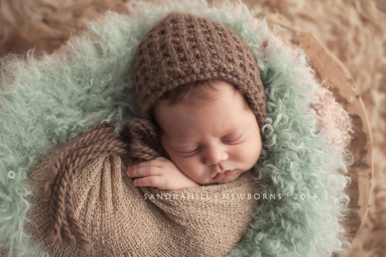 Brantford Ontario Newborn Photographer