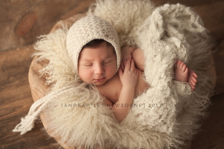 Newborn Photographer | Hamilton Ontario