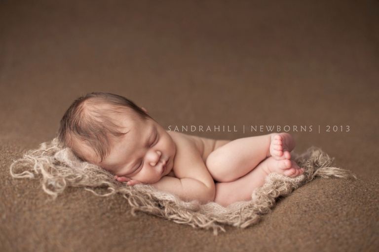 Brantford Ontario Newborn Photographer