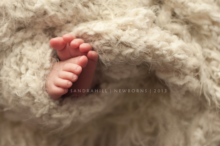 Newborn Photographer | Hamilton Ontario