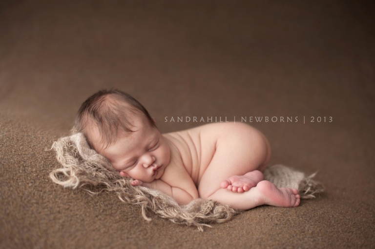 Brantford Ontario Newborn Photographer