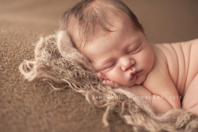 Brantford Ontario Newborn Photographer
