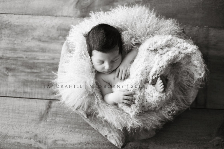 Newborn Photographer | Hamilton Ontario
