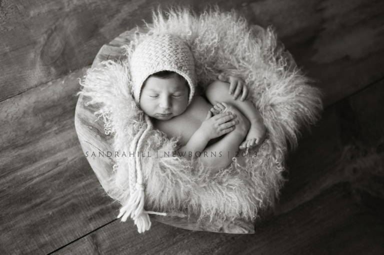 Newborn Photographer | Hamilton Ontario