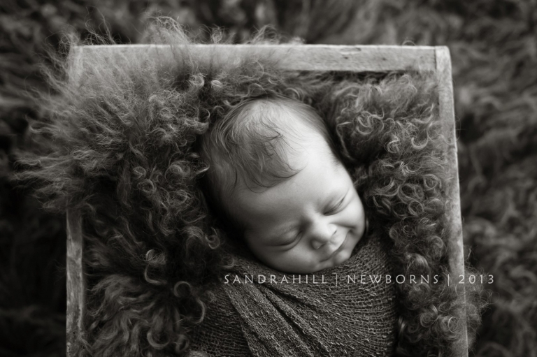 Brantford Ontario Newborn Photographer