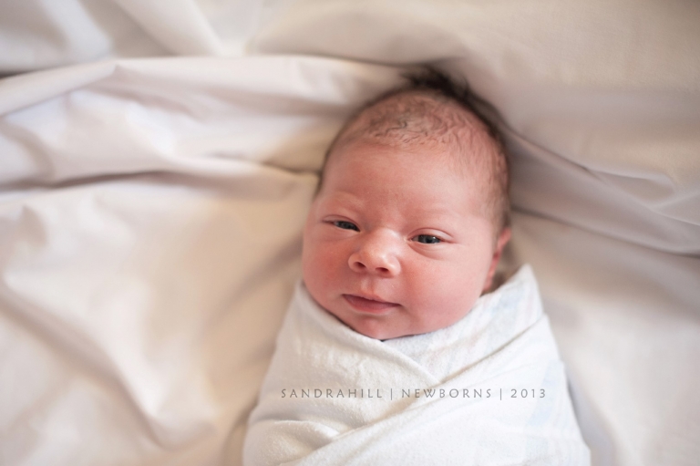 Brantford Ontario Newborn Photography