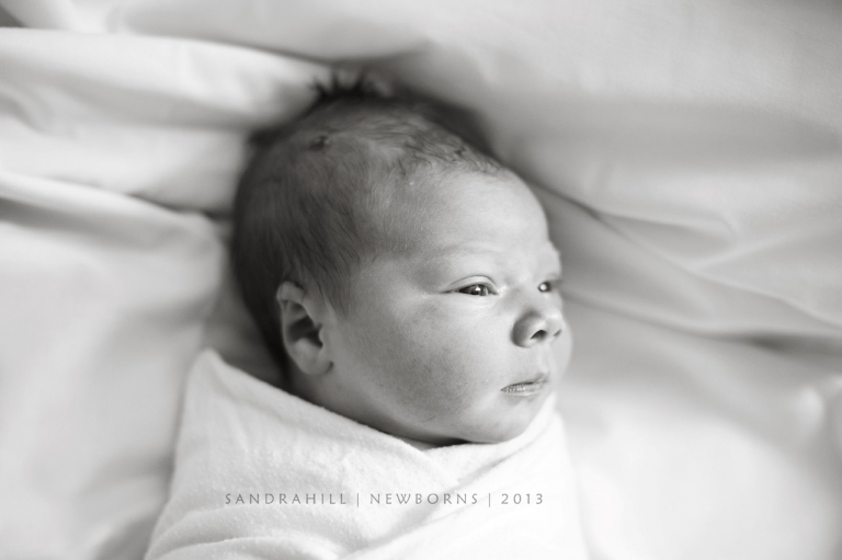 Brantford Ontario Newborn Photography