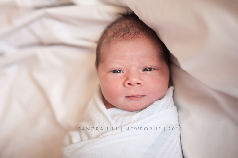 Brantford Ontario Newborn Photography