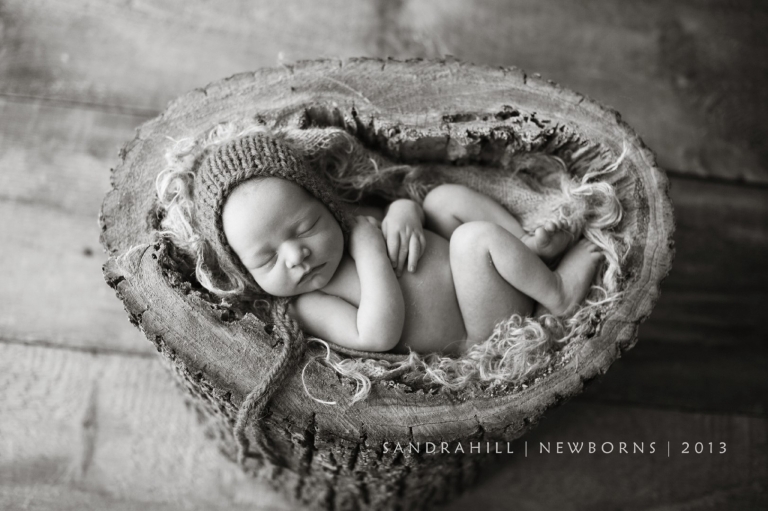 newborn photographer hamilton ontario