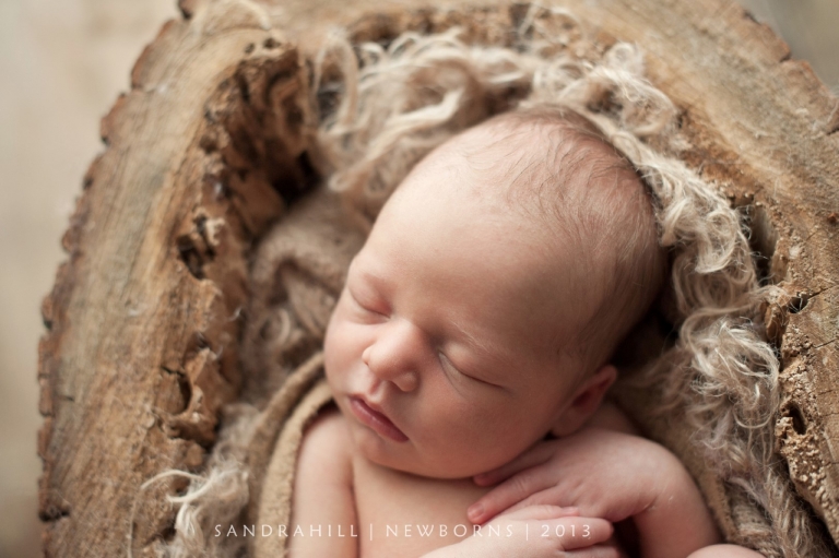 newborn photographer hamilton ontario
