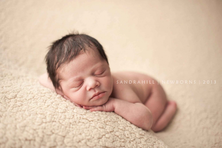 Brantford Newborn Phtography 10