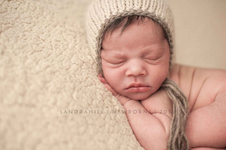 Brantford Newborn Phtography 6