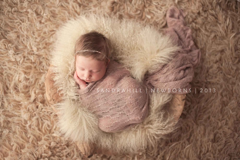 newborn photographer hamilton ontario