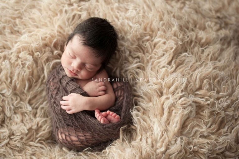 newborn photographer burlington ontario