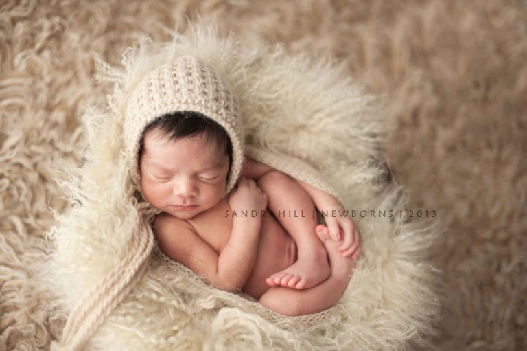 newborn photography burlington ontario