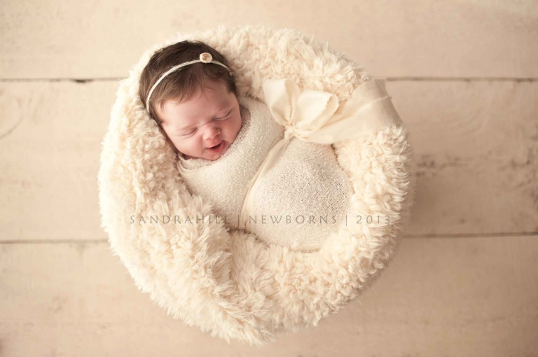 Kitchener Ontario Baby Photographer