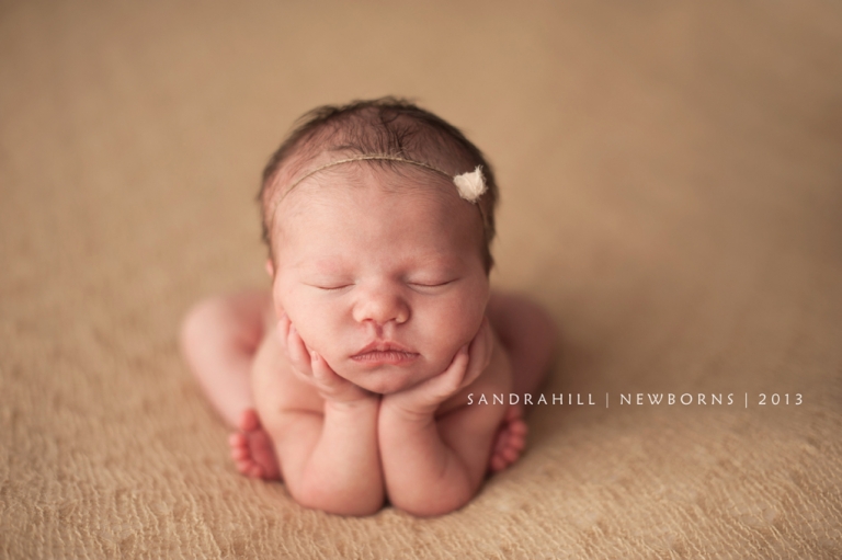 Hamilton Ontario Newborn Photography