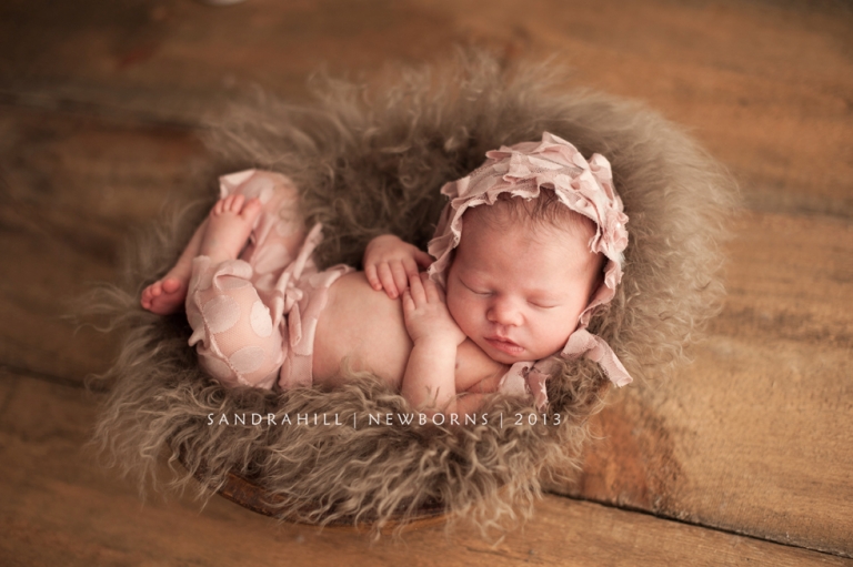 Hamilton Ontario Newborn Photography