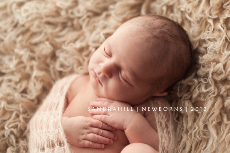 Hamilton Ontario Baby Photography