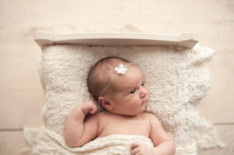Hamilton Ontario Baby Photography