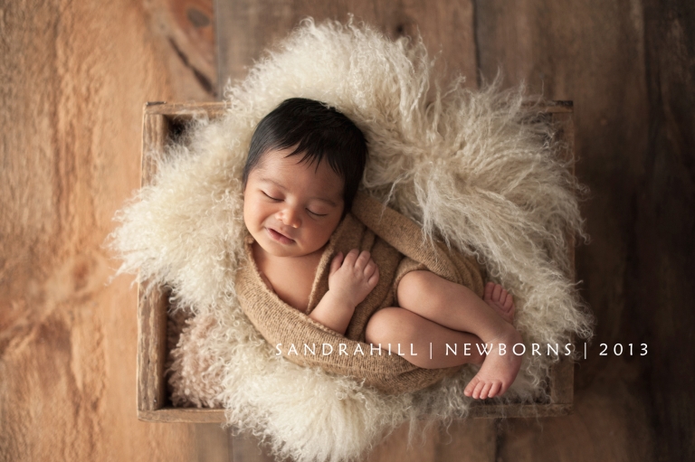Newborn Photography Mississauga Ontario 