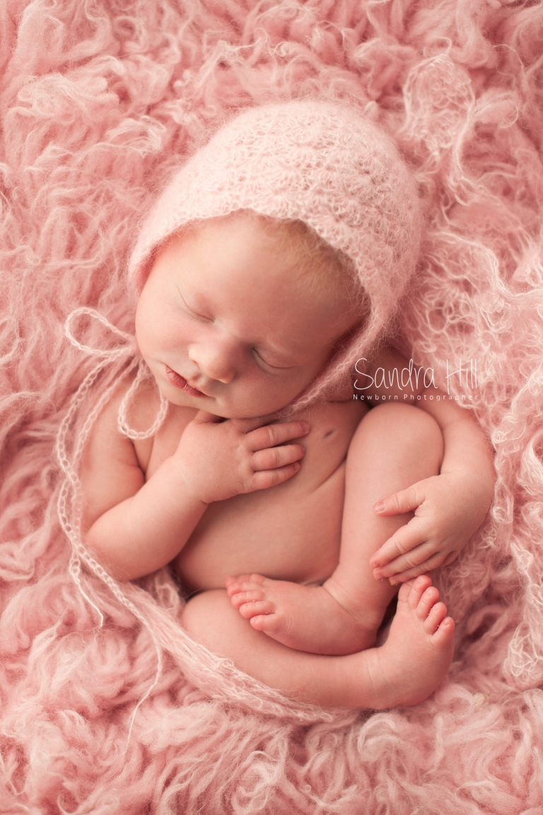 Hamilton Ontario Newborn Photographer