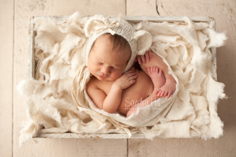 newborn photographer hamilton ontario