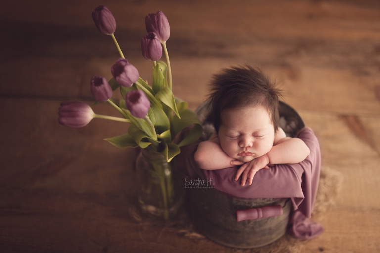 Brantford Newborn Photographer