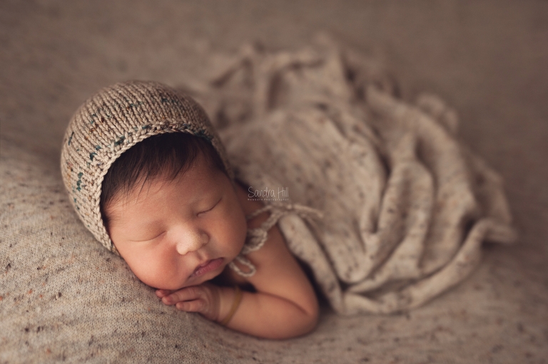 Brantford Ontario Newborn Photographer